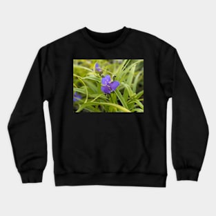 Blue and yellow flower in leaves Crewneck Sweatshirt